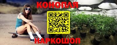 прущие грибы Будённовск