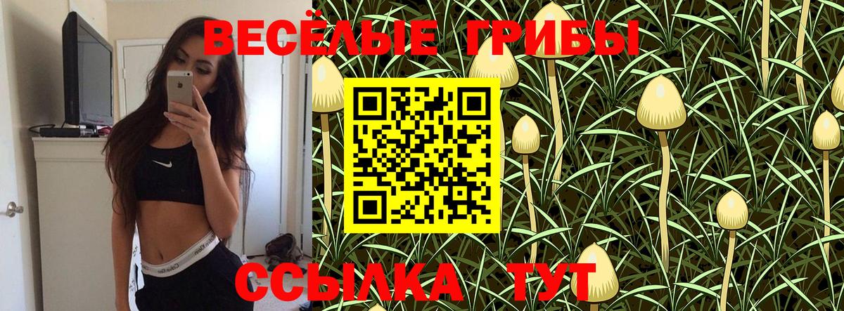 Псилоцибиновые грибы Cubensis Озёрск